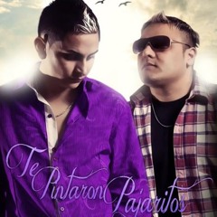 El Villano - Te Pintaron Pajaritos (Cumbia Mix) DiiegiittoDj ElMaliante DelRemix