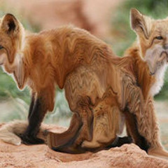 Melting Fox