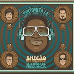 B Negão & Seletores de Frequência- "Alteração (ÉA!)"