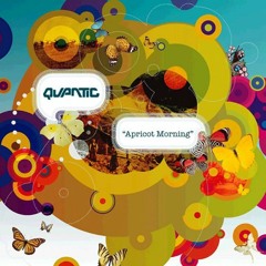 Quantic - Not So Blue (StatiK Remix)