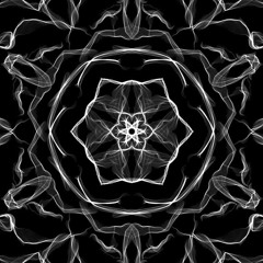 Disconalia Gastroblasta