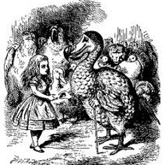 Noise and confusion (adams here mix)