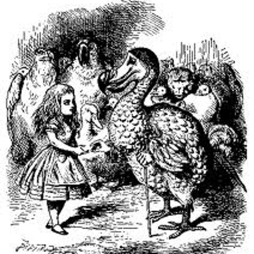 Noise and confusion (adams here mix)