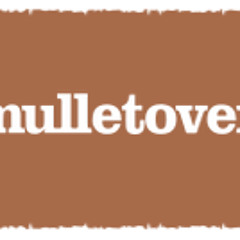 We Are FSTVL Presents: mulletover