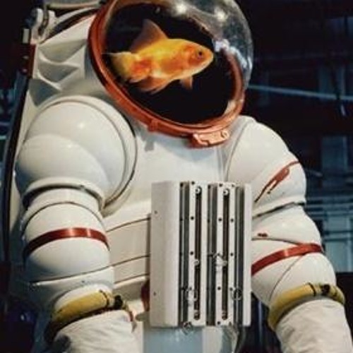 Рыба космонавт. Космическая рыбалка. Рыбы в космосе. Рыбы в космосе. Рыбы в космосе.