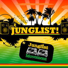 DJ Flys X1 - Jungle DnB (DJ Set Mix)