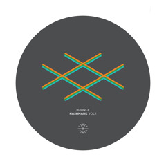 Hashmark Vol. 1 / Polyklinik x Headshotboyz [8oz.004]