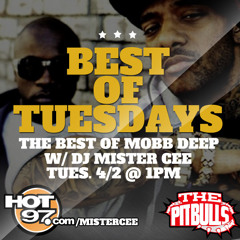 Mr Cee - Best of Mobb Deep - Best of Tuesday