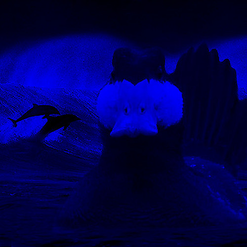 Obsidian vibes