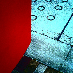 箱庭の印象／カラスヤサボウ