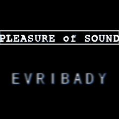 Evribady - Pleasure of Sound - Enzo Sortino