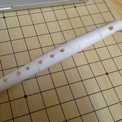 3D Printed Flute