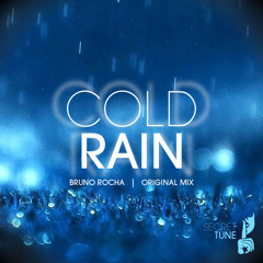 Bruno Rocha feat Roseerin -  Cold Rain (Original mix)