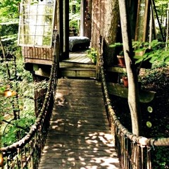 Out Of A Forest on