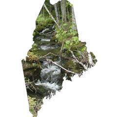 Maine Stream