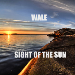 Fun Ft. Wale-Sight of the Sun Freestyle