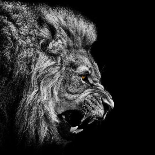 Adrian Richter | Bretter am Mittwoch | Nur so zum Spaß | 03.04.2013