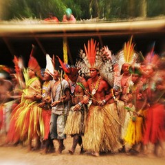 guacira