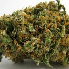 RawFlex- Dubstep mix 6