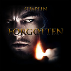 Shaplin - Forgotten