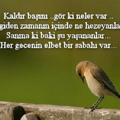 Özlem Özdil -ŞU DÜNYAYA GELDİM GELELİ AH ÇEKERİM AĞLARIM VARMIBİR HALDENBİLENİM YARE KÜSMÜŞ YOLLARIM