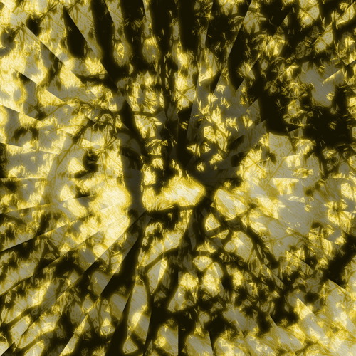 éxitos entrañables —enmarcadas—