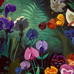 slow wonders
