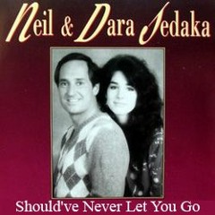 Shouldve Never Let You Go