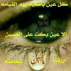 قصيدة الطف   للشاعر إيهاب المالكي