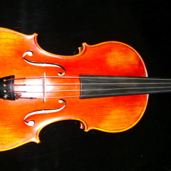 String sample Viola (The Swan)