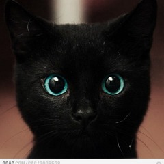 SOMEWHERE OVER THE RAINBOW - ukulele cover by hab