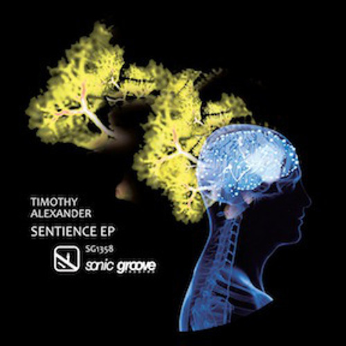 Sentience II