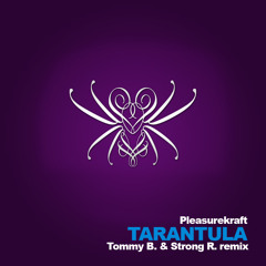 Pleasurekraft - Tarantula (Tommy B. & Strong R. remix) [FREE DOWNLOAD]