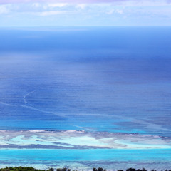 海はキララ
