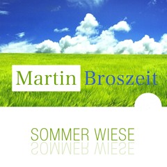 * * * Sommer Wiese * * * by Martin Broszeit
