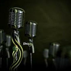Bonnie Raitt   I Can't Make You Love Me