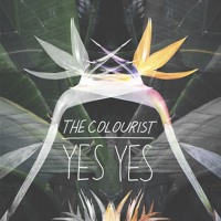 The Colourist - Yes Yes