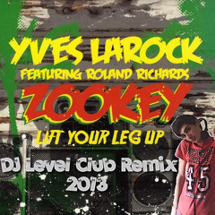 Yves LaRock - Zookey (DJ ALYN PANK Remix 2k13)