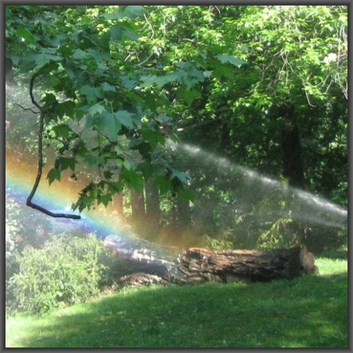 2012-04-26 Berlin Tiergarten - lawn sprinklers periodically hitting trees