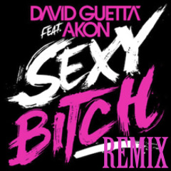 David Guetta ft. Akon - Sexy Bitch (trap mix)