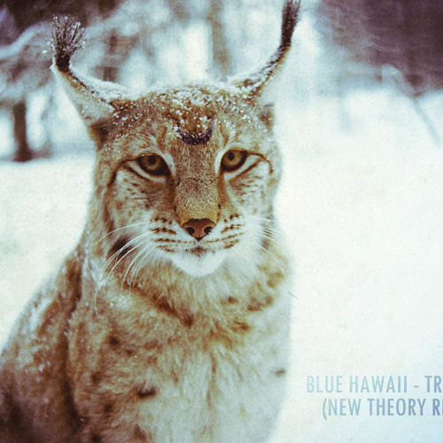 Blue Hawaii - Try To Be (New Theory Remix)