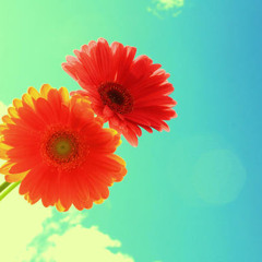 X-R@Y - We D'n'B version