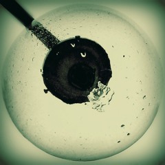 L'Antica Fattoria dei Circuiti - Il Nero (demo)