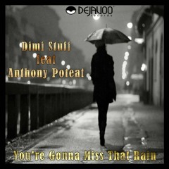 Dimi Stuff Feat.Anthony Poteat - You're Gonna Miss That Rain (SAMPLE) (DEJAVOO RECORDS)