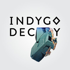 Indygo - Decoy