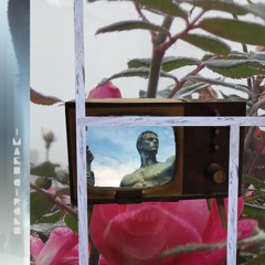 Image Circle .~.:':.~. The Night is Overcast