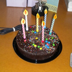 The Birthday Song (cover)