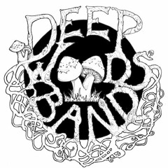 The Deep Woods Band-If You Think I Give A Fuck