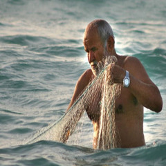 موسيقى-هالوطر