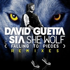 David Gueta - She Wolf (Liron Bootleg) DEMO